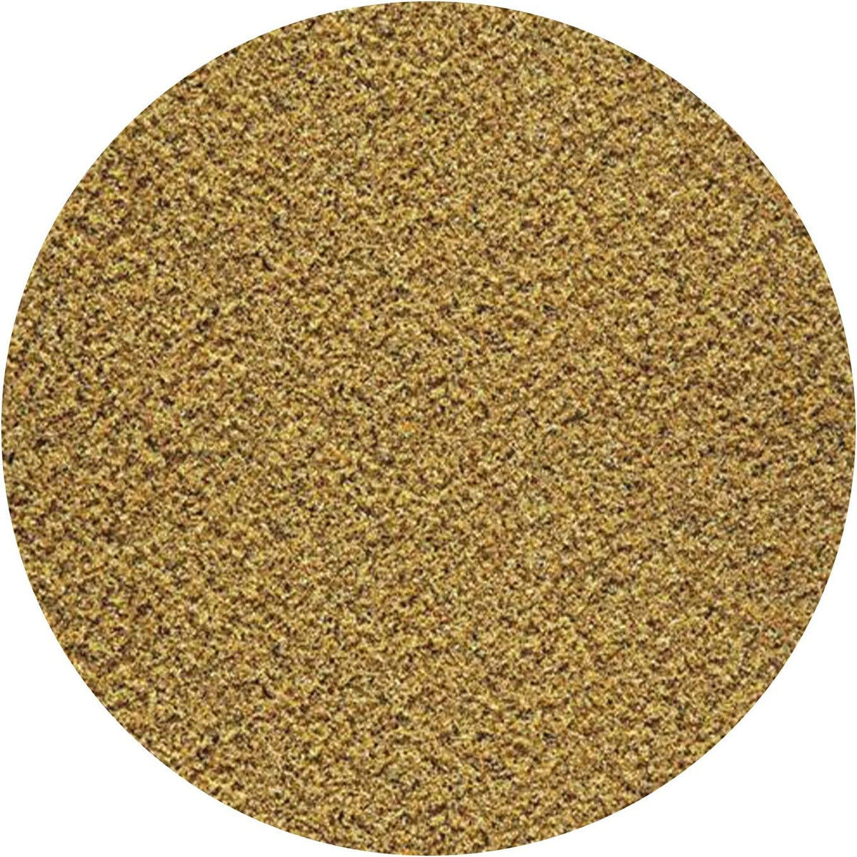 Hikari First Bites 10g Baby Fish Food