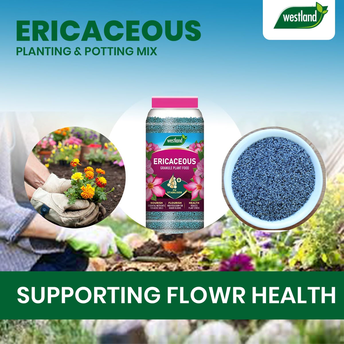 Westland Ericaceous Specialist Plant Food Slow Release Soil Granules Jar 900g
