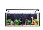 Aqua One Betta Quad 60L Glass Aquarium Tank