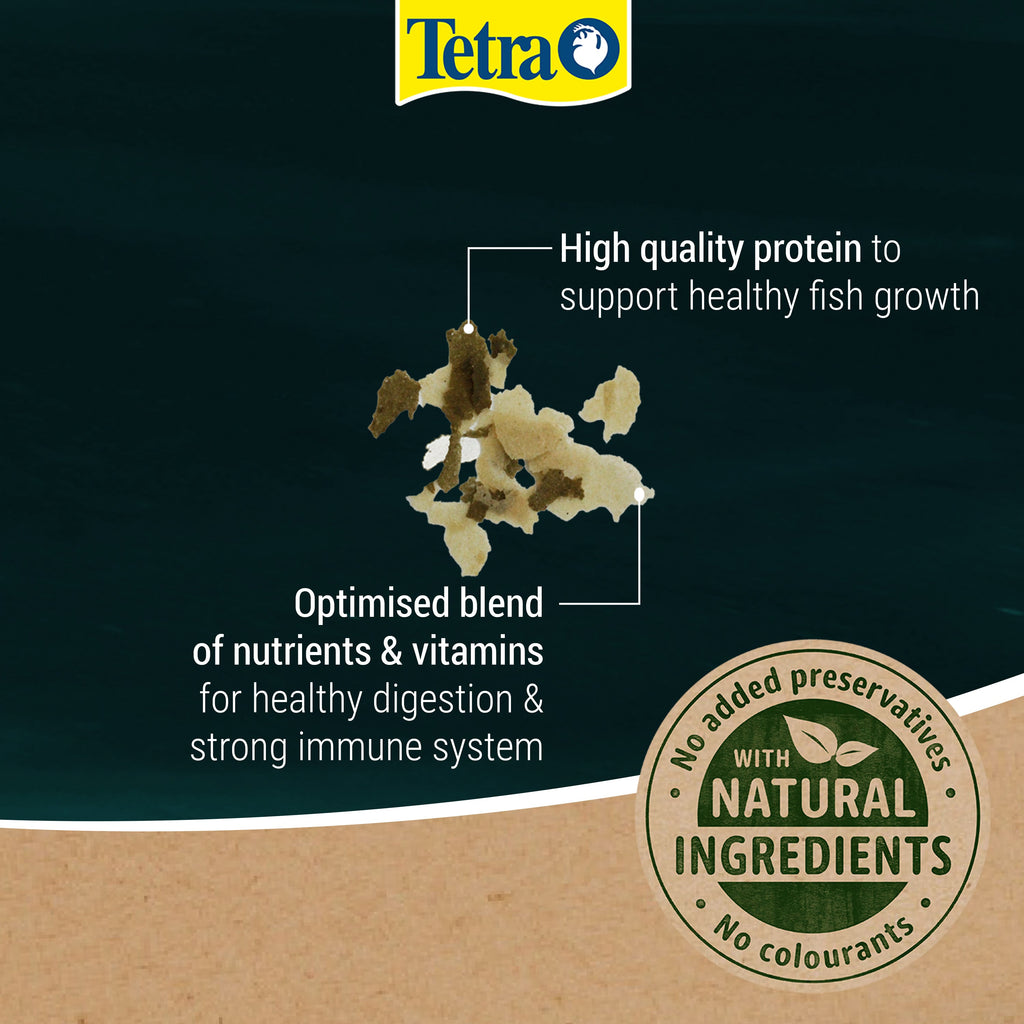 Tetra Pond Flakes 100g - Fish Food T366