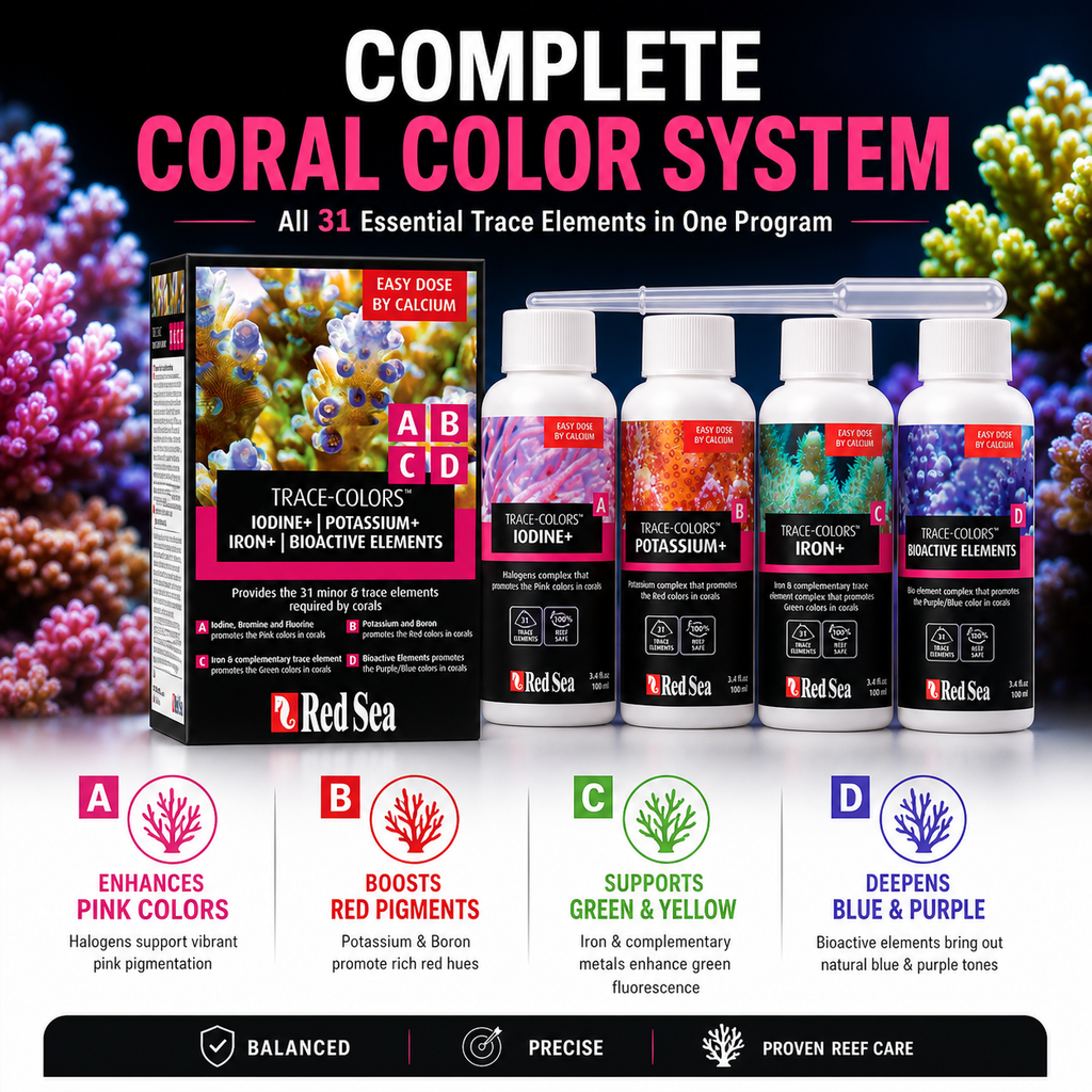 Red Sea Coral Colours 4 x 100ml Complete Set - R22040