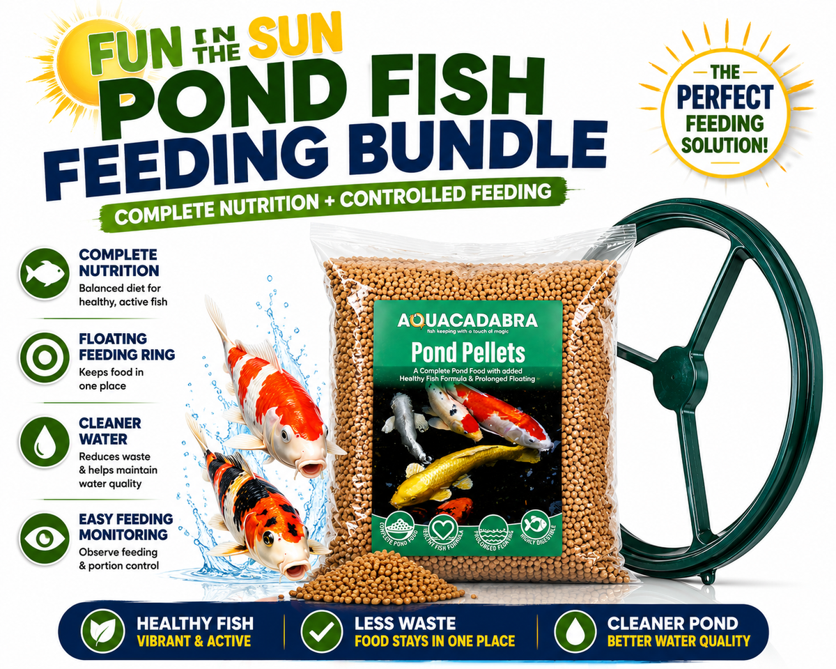 Aquacadabra Fun in the Sun Pond Feeding Bundle – Premium Pellets & Floating Feeding Ring