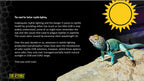 Exo Terra T5 VHO UVB Bulbs – Reptile Lighting Solution