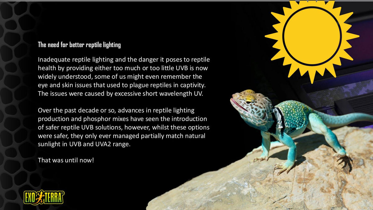 Exo Terra T5 VHO UVB Bulbs – Reptile Lighting Solution