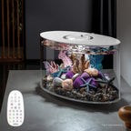 biOrb LOOP MCR 15L Acrylic Aquarium with LED & Filtration