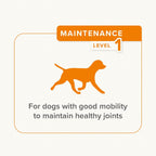 Beaphar Flexifit Joint Supplement 150g Dog Treats Joint Omega 3 Supplement