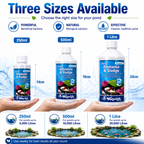 Waterlife BacterLife P Pond Bacteria Reducer (250ml/500ml/1L)