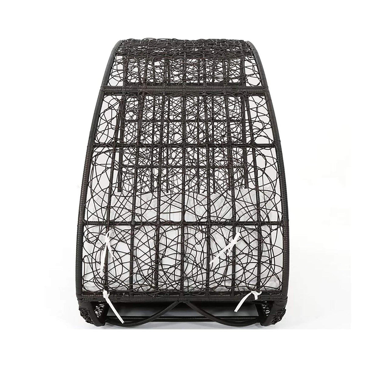 Alora 2-Person Outdoor Wicker Daybed with Aluminum Frame and Cushions