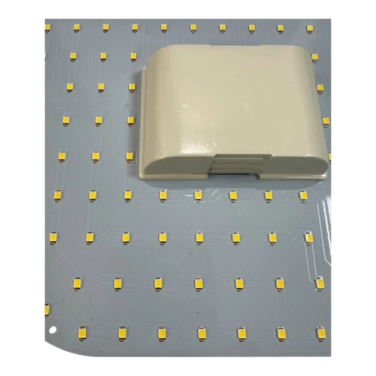 LED 2D Lamp 12W GR10q 4-Pin Retrofit for 28/36W CFL | Ledison