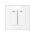 16AX 2-Gang 2-Way Light Switch Tempered Glass | Ledison