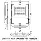 100W LED Flood Light IP65 15000lm Meanwell Driver | Draco