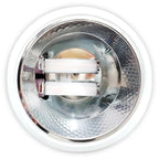 PL G24 LED Bulb 8W 800lm CRI80 2-Pin/4-Pin | Ledison