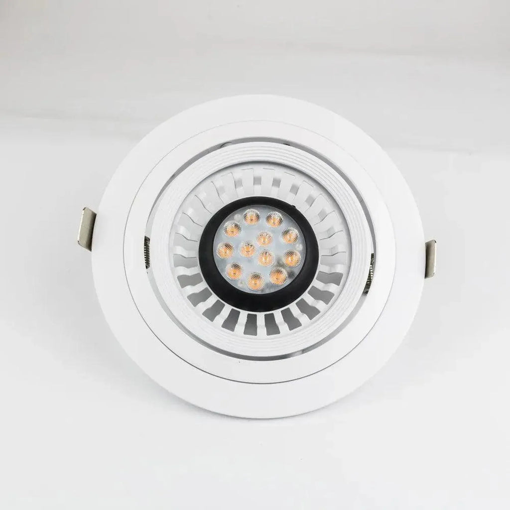 Circular LED Gimbal Light AR111 Spot 12.5W | Ledison