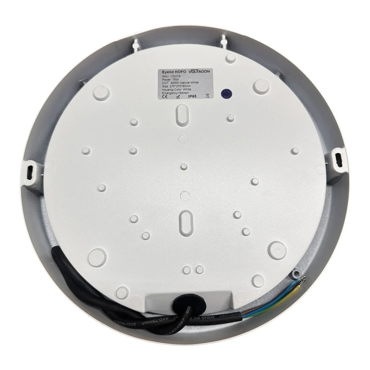 15W LED Eyelid Wall Light Fitting White | VOLTALED