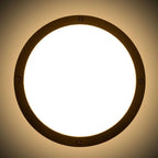 Nova LED Bulkhead 10W IP65 Tri-Colour Full & Half Moon | Ledison