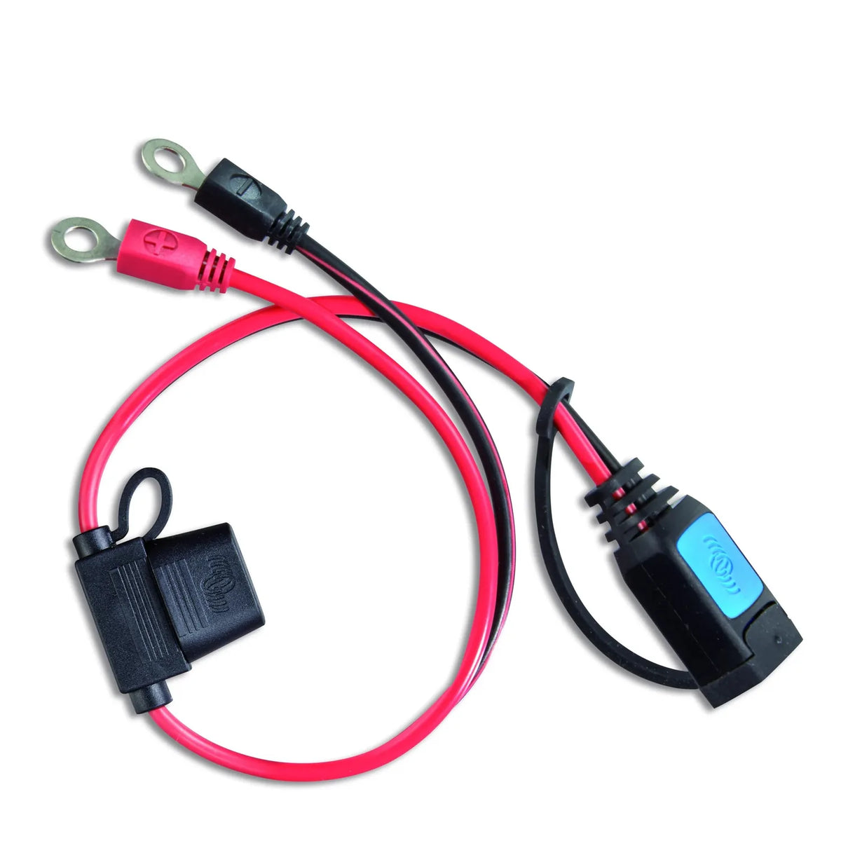 Victron M6 Eyelet Connector with 30A ATO Fuse | BPC900100014