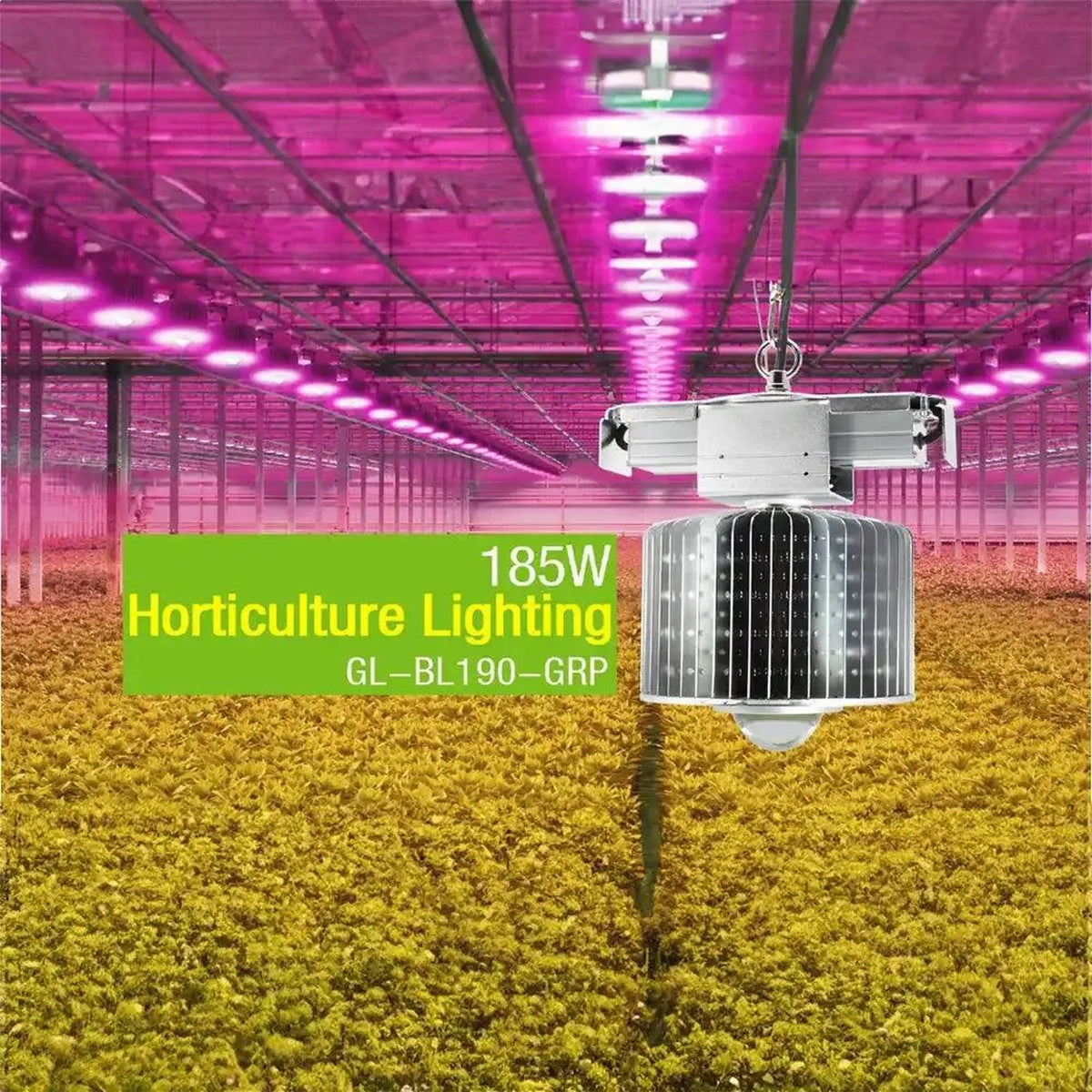 185W LED Grow Light Full Spectrum IP66 | Ledison GL-BL190-GRR