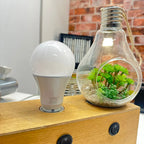 10W B22 LED Bulb Dimmable Natural White IP65 | Ledison A60