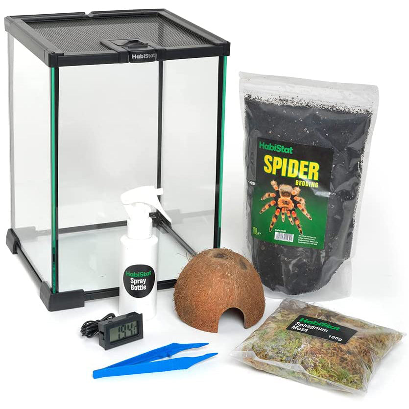 HabiStat Invertebrate Starter Kit for Mantis & Spiders