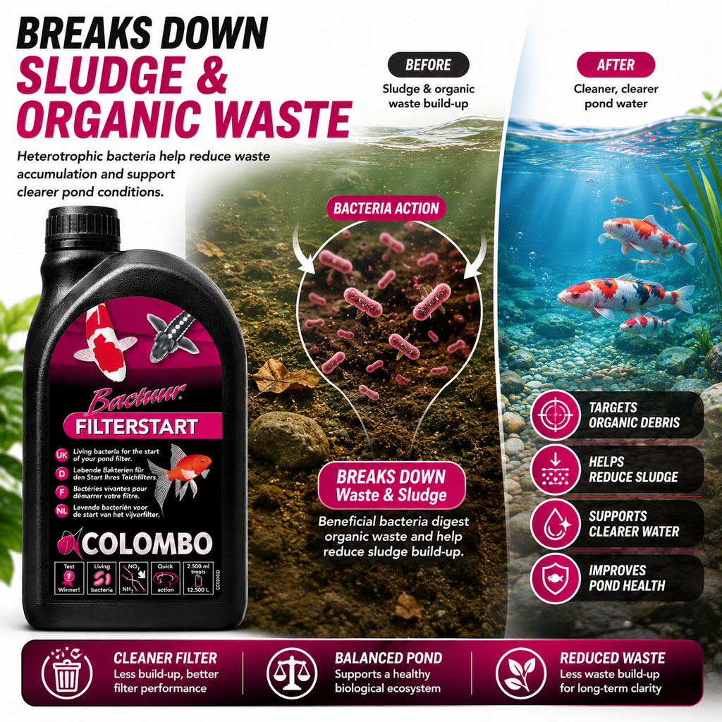 Colombo Bactuur Filter Start Pond Bacteria Treatment