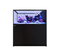Red Sea Reefer Peninsula S 700 G3 Aquarium
