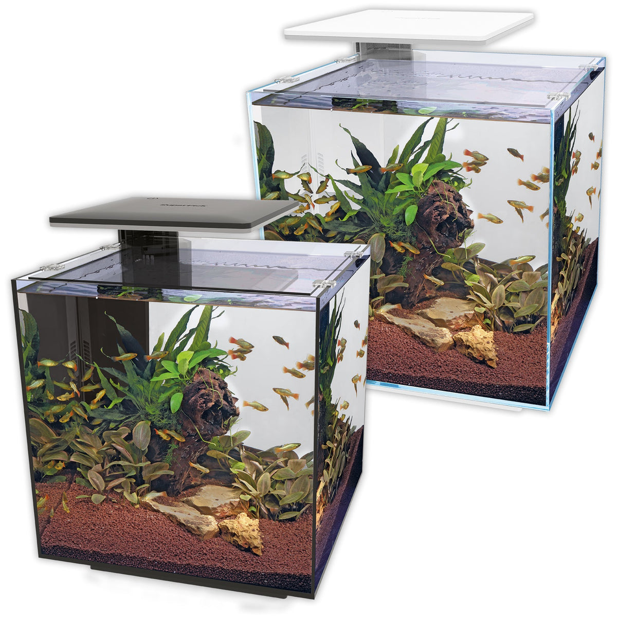Superfish Qubiq 60 Aquarium & Cabinet