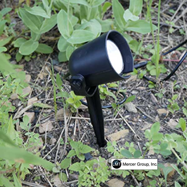 LMT Landscape Spotlight