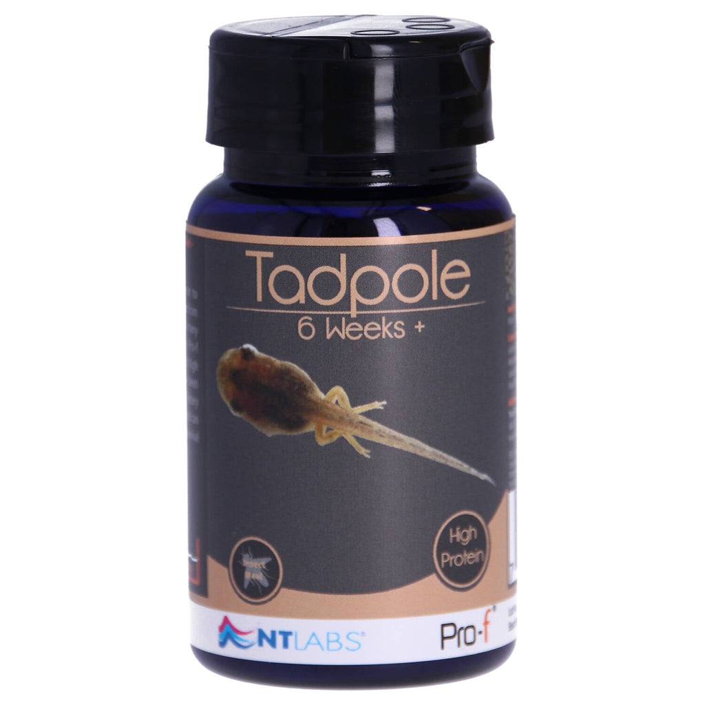 NT Labs Pro-f Tadpole Food 6 Weeks+, High Protein Pellets