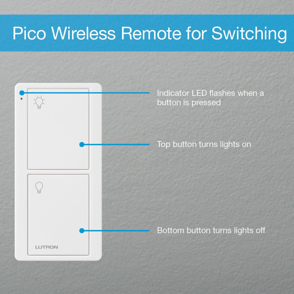 Lutron P-PKG1OUT-BL-R Caséta Weatherproof Outdoor Smart Plug with Pico Remote, 15A, IP65, Black