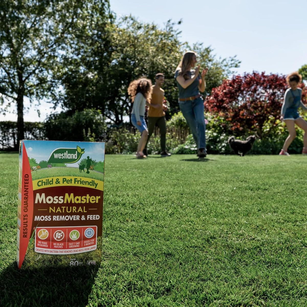 Westland Moss Master Lawn Feed & Moss Remover 80m² Natural Treatment