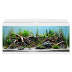 Ciano Aqua 85 LED Aquarium 76L with Filter & Heater