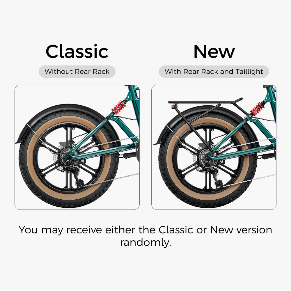 Fiido M1 Pro Fat Tire Electric Bike