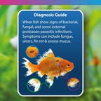 Nt Labs Methylene Blue Aquarium Fish Tank Disease & Treatment Medicine 100ml