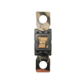 Exotronic 100A Mega/AMG/ANM Fuse