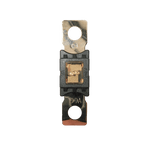 Exotronic 100A Mega/AMG/ANM Fuse