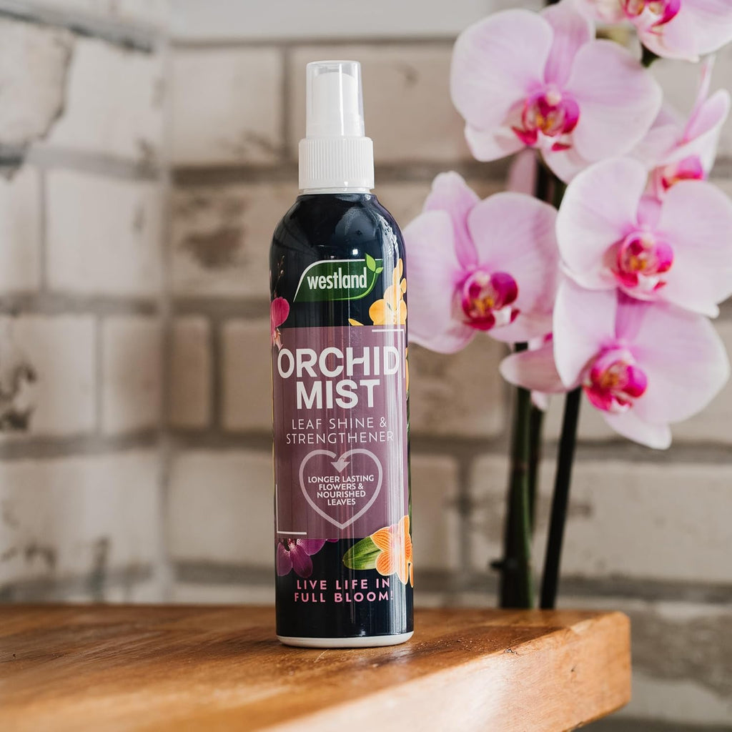 Westland Orchid Mist Spray 250ml - Nutrient-Rich Hydration