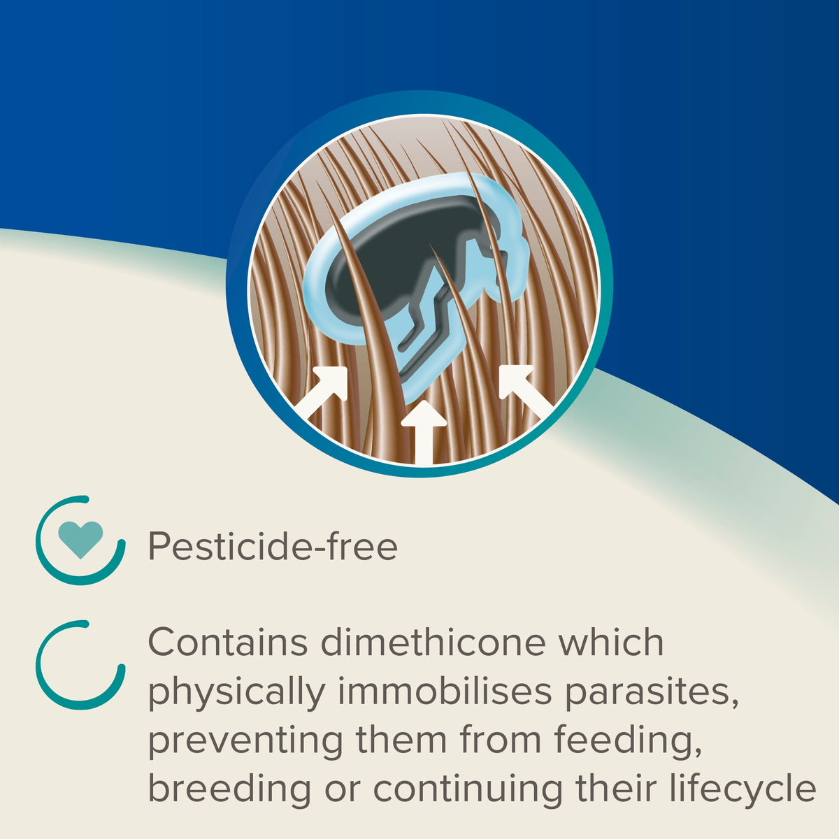 DIMETHICARE LINE ON FLEA TREATMENT RABBITS GUINEA PIGS FERRETS