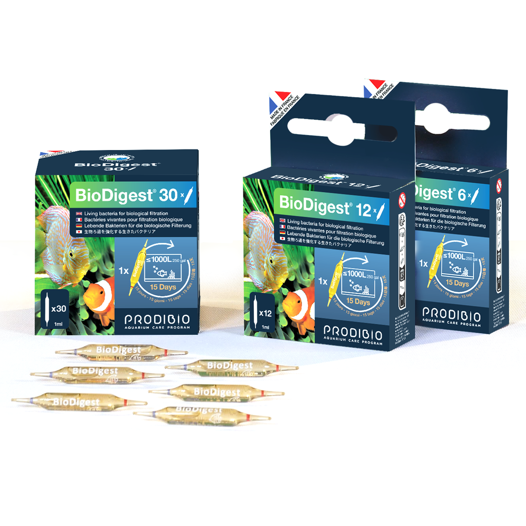 Prodibio BioDigest Bacteria Treatment