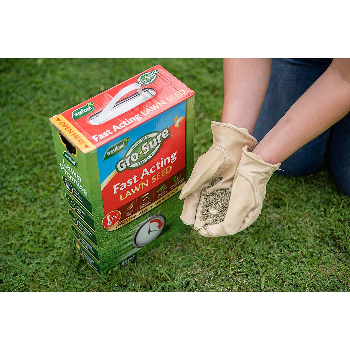 Gro-Sure Fast Acting Lawn Seed for Quick Germination