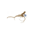 Spiderwood Branches Aquarium Decoration