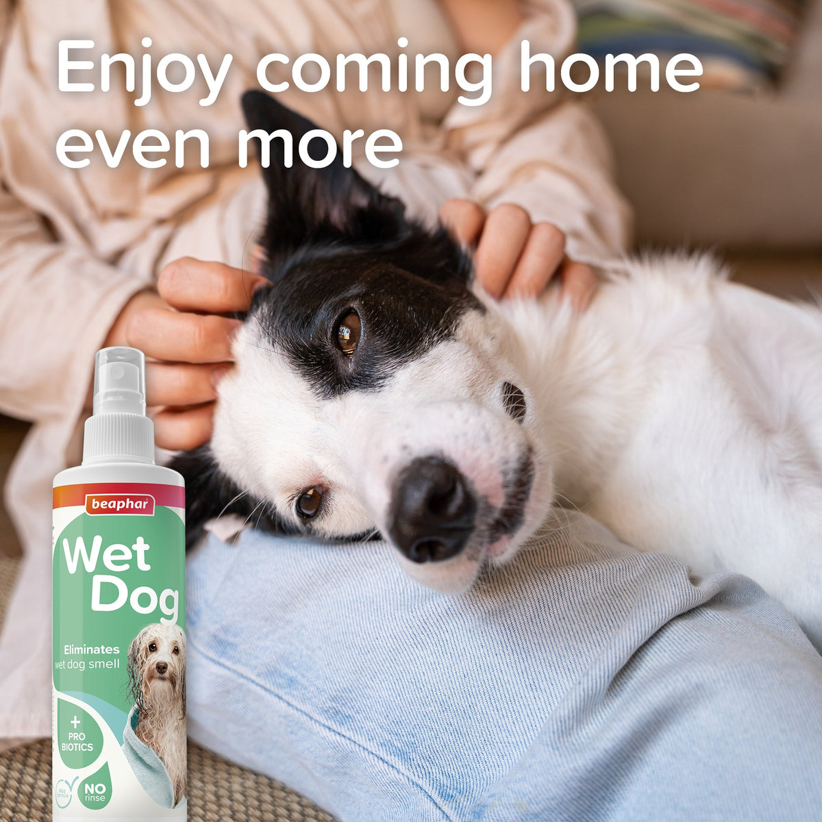 Beaphar Wet Dog Spray 250ml Odour Control Probiotics Aloe No Rinse Fresh Coat