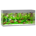 Juwel Rio 240 LED Aquarium with Filter & Heater