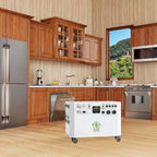 Natures Generator Powerhouse Gold Plus PE System