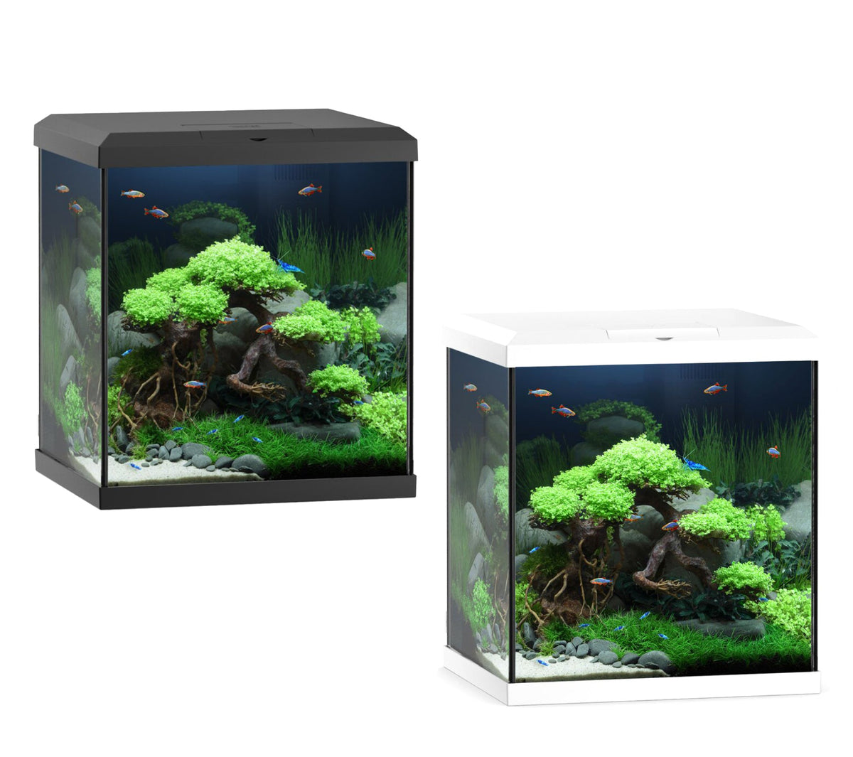 Juwel 54 L Vio Cube Aquarium Fish Tank Set with LED Lighting Filter and Heater