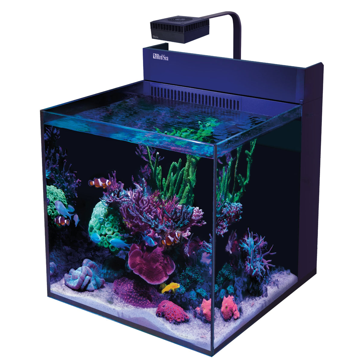 Red Sea MAX Nano XL G2 Aquarium – 125L Rimless Reef Tank
