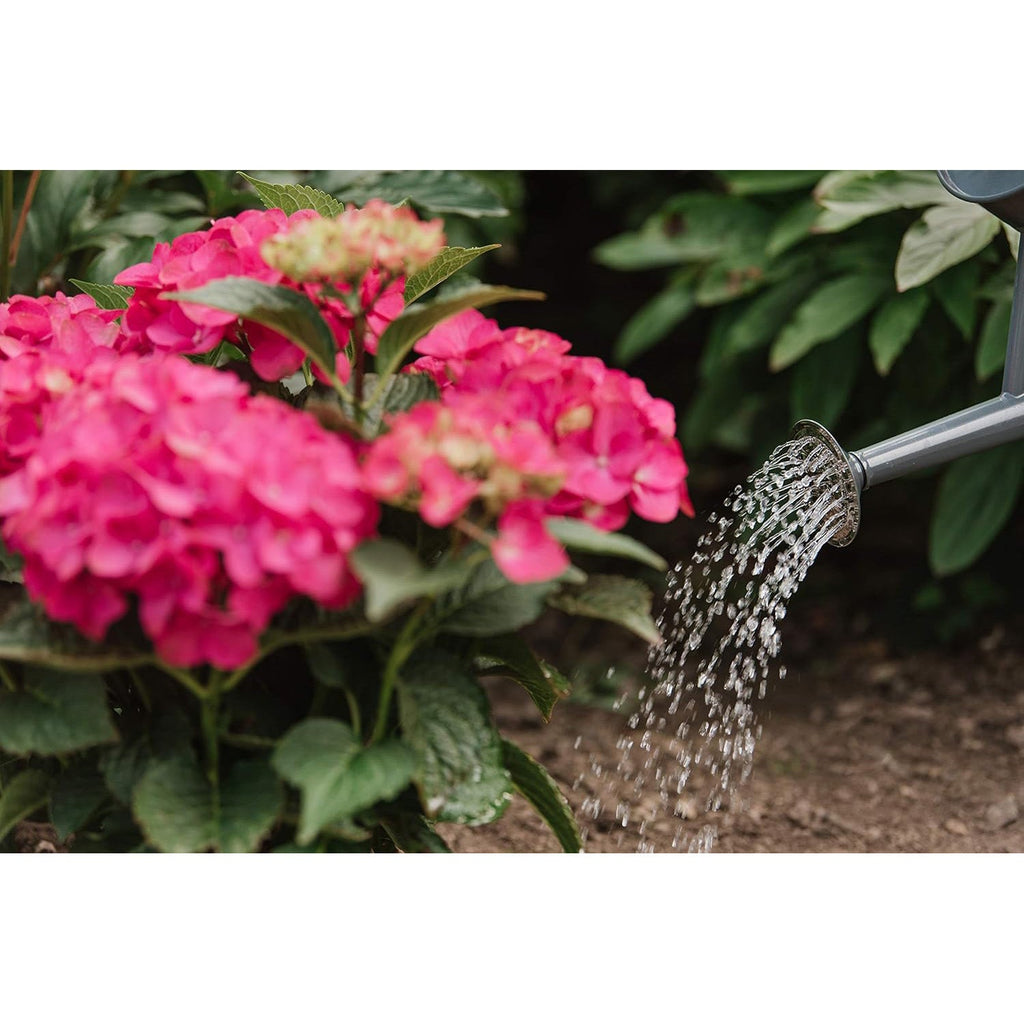 Westland Hydrangea Colourant 500g - Blue Boost Formula