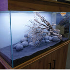 Clearseal Aura 200 Aquarium Set - 192L LED + Filter + Heater