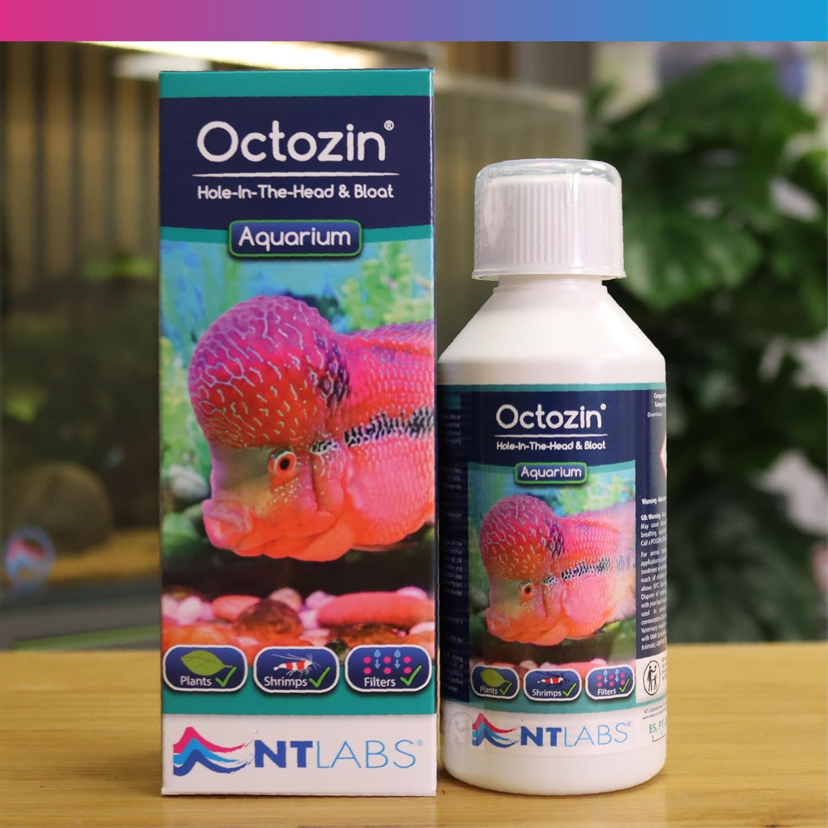 NT Labs Octozin WaterTreatment – 250ml, 500ml, 1L Bloat & Hole-in-the-Head
