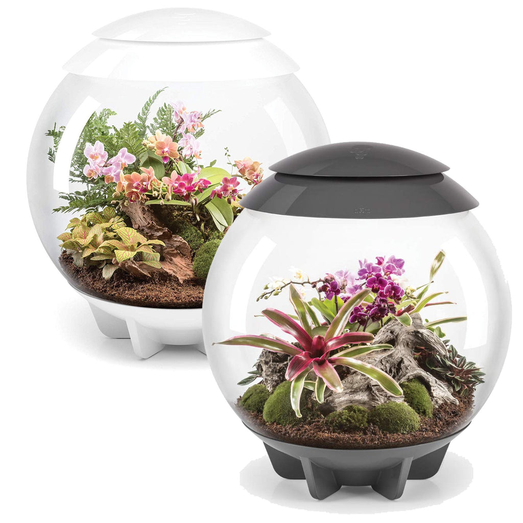 BiOrb Air 60L LED Smart Rainforest Terrarium