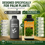 Palm Tree Fertiliser Feed For Healthy Vigorous Growth 1000 ml Palm Focus Garden